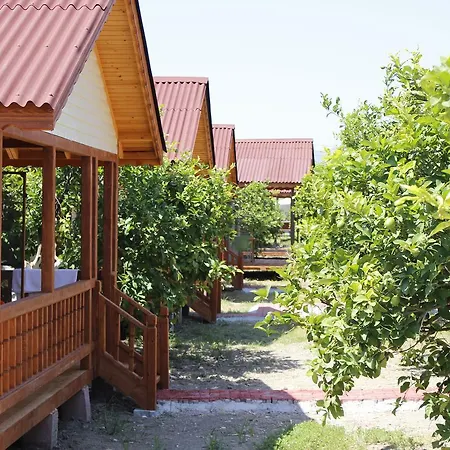 Lemon Camping Bungolows Campsite *