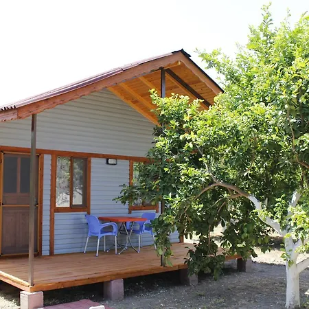 Lemon Camping Bungolows