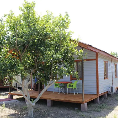Lemon Camping Bungolows Campsite *