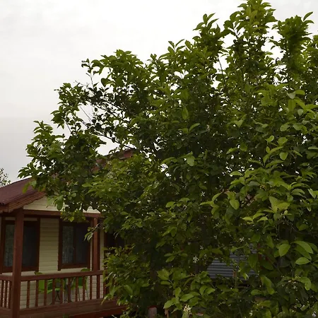 Campsite Lemon Camping Bungolows Dalyan