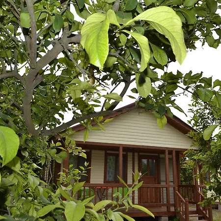 Lemon Camping Bungolows * Dalyan