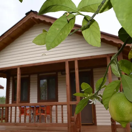 Lemon Camping Bungolows Campsite *