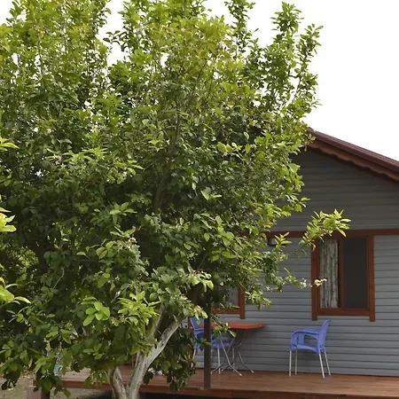 Lemon Camping Bungolows Campsite Dalyan