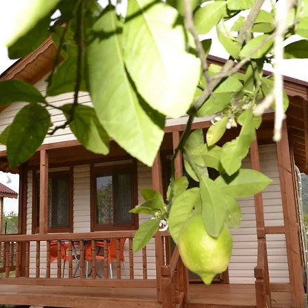 Campsite Lemon Camping Bungolows Dalyan