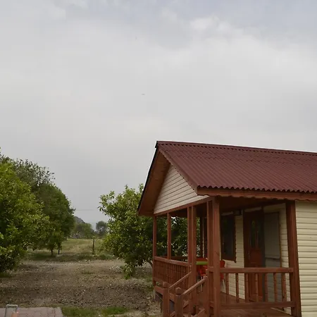 Lemon Camping Bungolows Campsite *