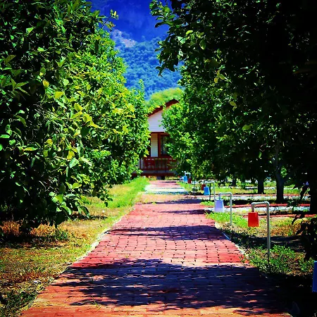 Campsite Lemon Camping Bungolows Dalyan