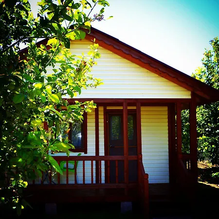 Campsite Lemon Camping Bungolows Dalyan