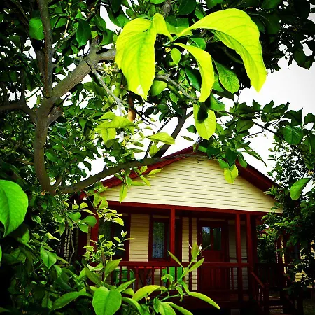 Lemon Camping Bungolows Campsite *