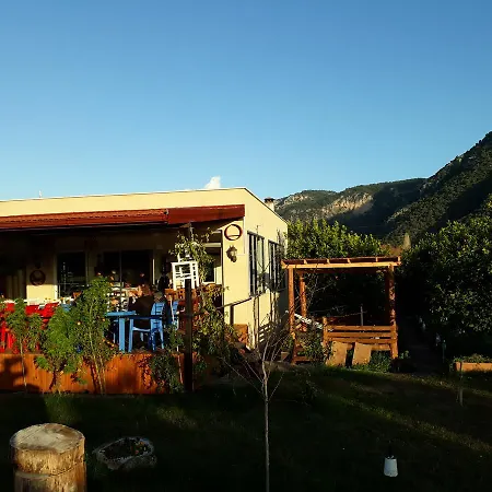 Campsite Lemon Camping Bungolows
