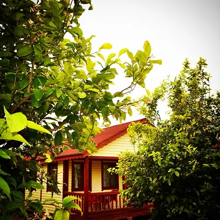 Lemon Camping Bungolows Campsite Dalyan