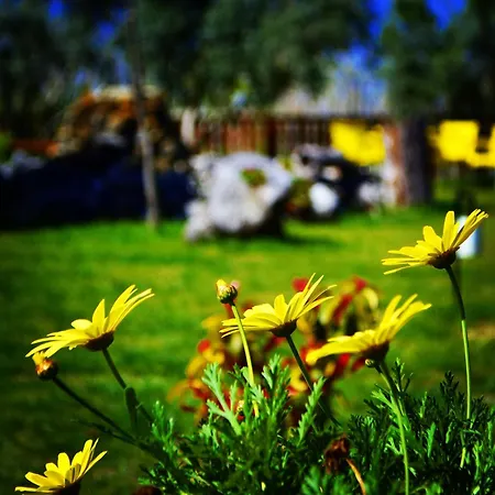 Campsite Lemon Camping Bungolows Dalyan