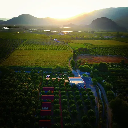 Campsite Lemon Camping Bungolows Dalyan