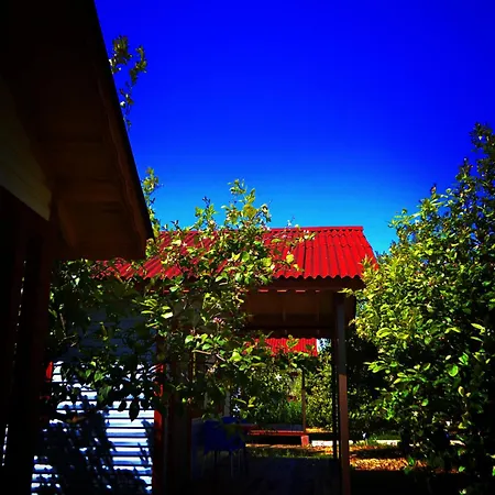 Campsite Lemon Camping Bungolows Dalyan