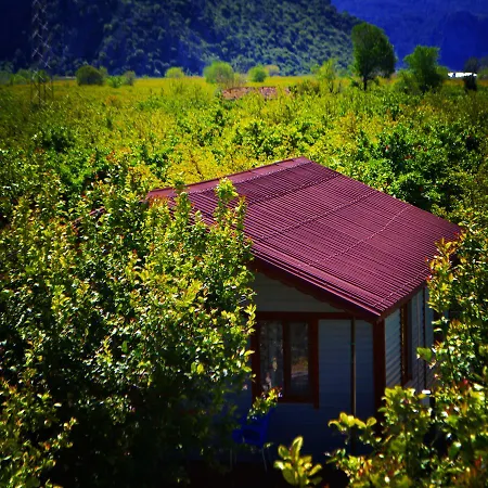 Lemon Camping Bungolows